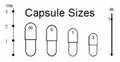 Digestion Starter Packs For Dogs And Cats *