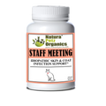 Staff Meeting* Idiopathic Skin & Coat Infection* Support For Dogs And Cats*