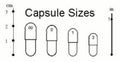 Tummy Gladiator - Digestion, Adjunctive Reflux & Urinary Tract Support*
