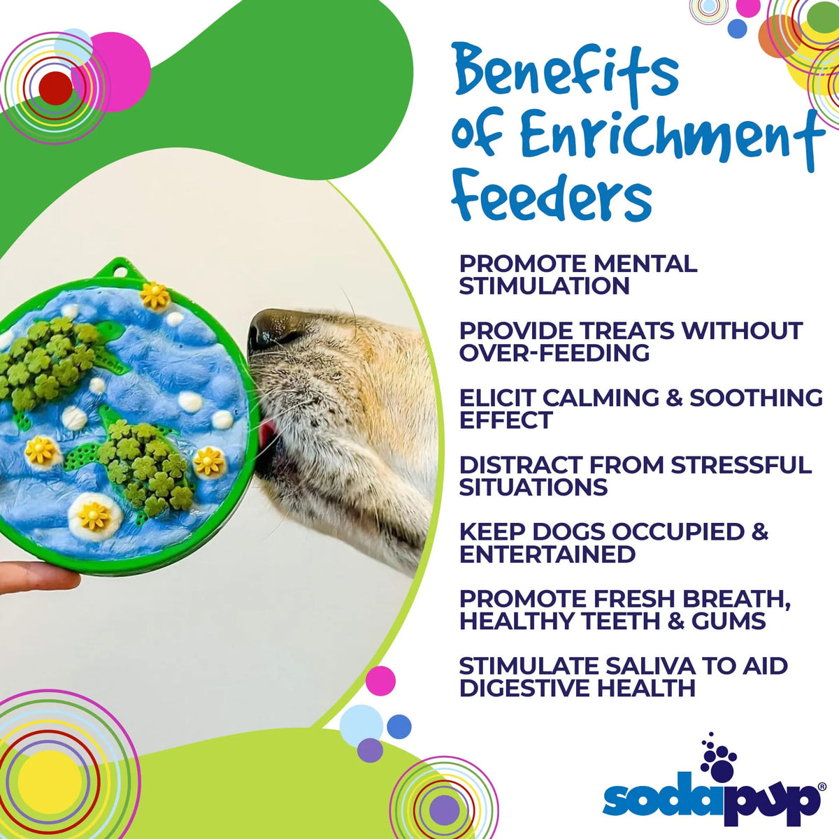 Water Nylon eCoin Durable Enrichment Snacking Coin for Dogs