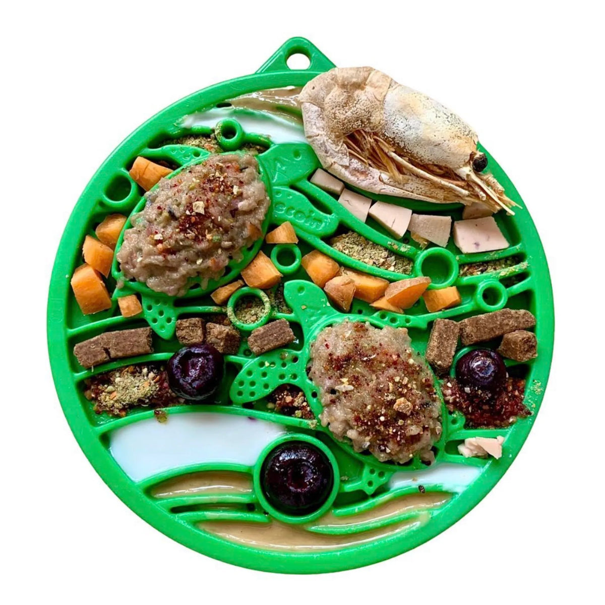 Water Nylon eCoin Durable Enrichment Snacking Coin for Dogs